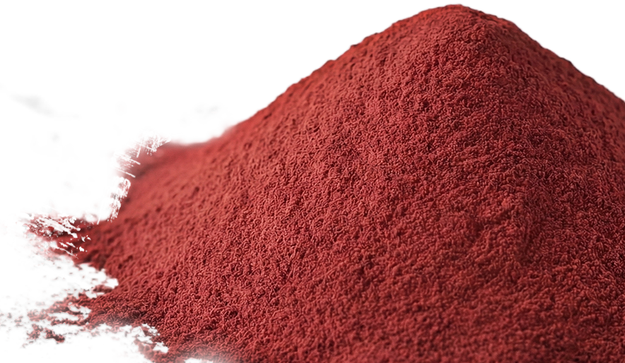 Close-up of a pile of small round black granules on a white background.